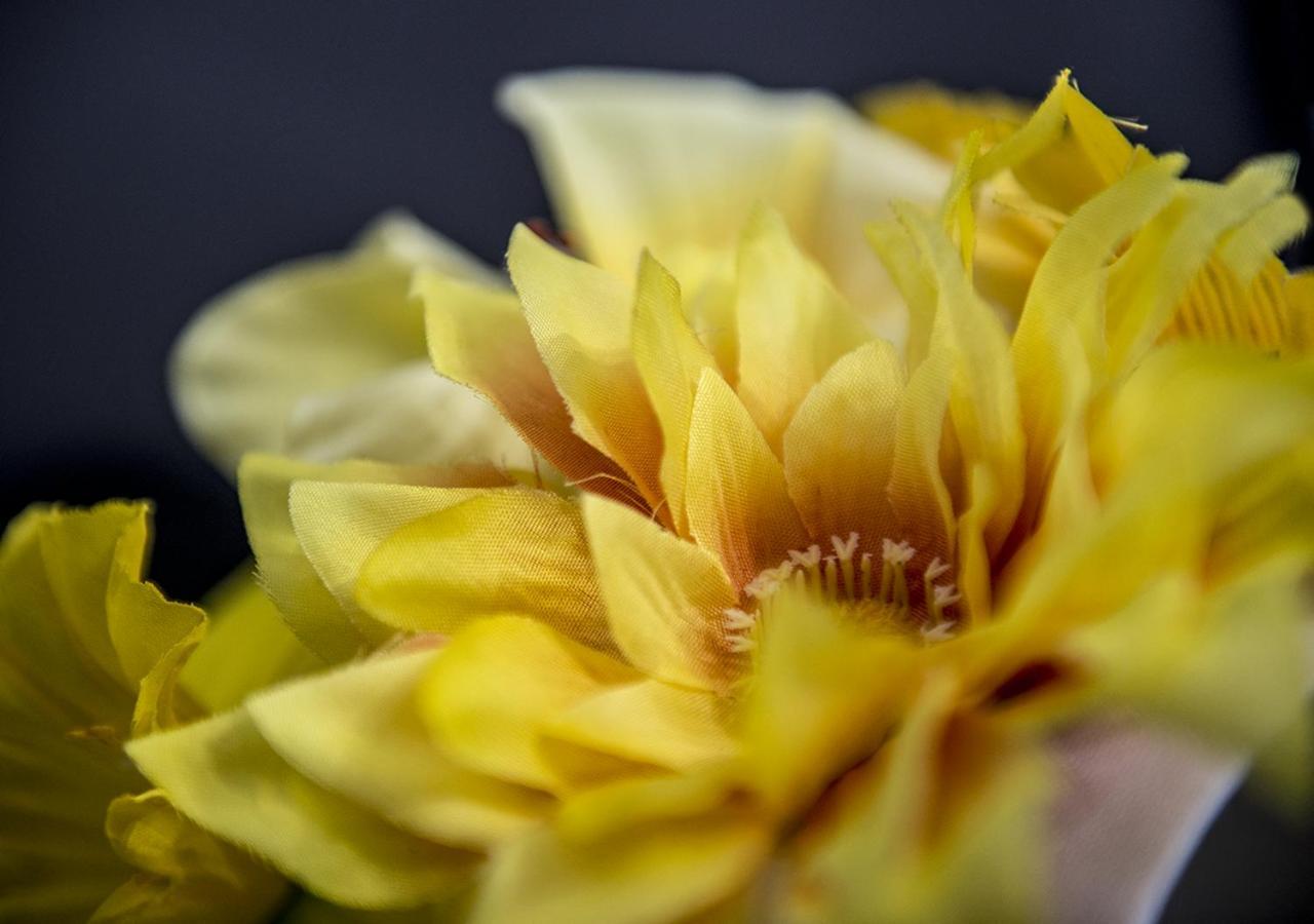 Le Stanze Dei Fiori — Foto 3